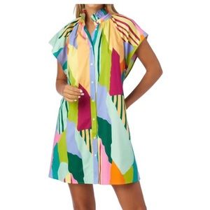Crosby Wilhelmina dress in color fields